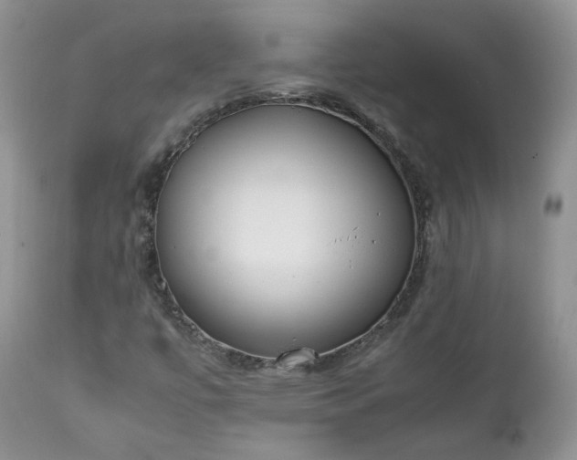 X0000111781447200907301109