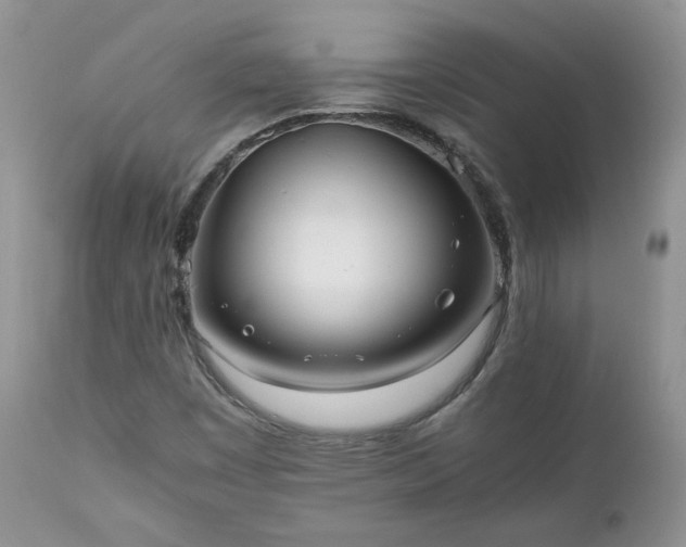 X0000111781449200907301109