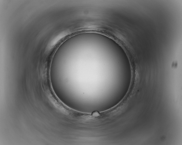 X0000111781450200907301109