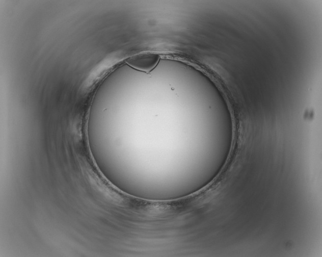 X0000111781451200907301109