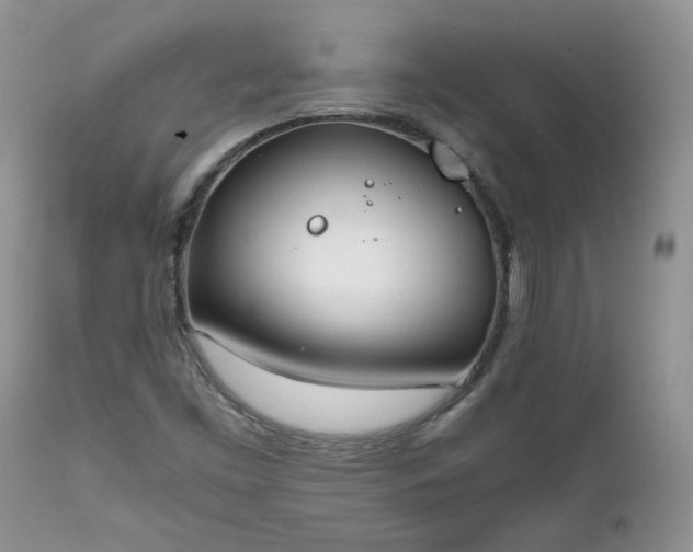X0000111781453200907301109