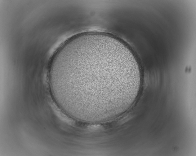 X0000111781454200907301109