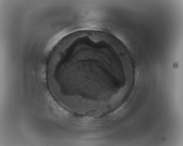 X0000111781455200907301109