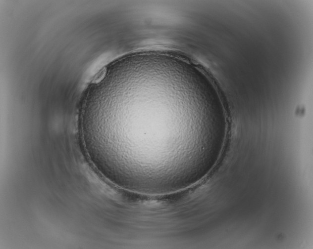 X0000111781459200907301109