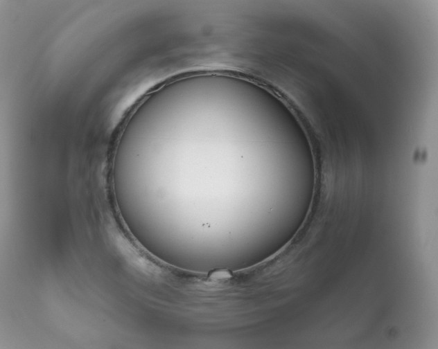X0000111781460200907301109