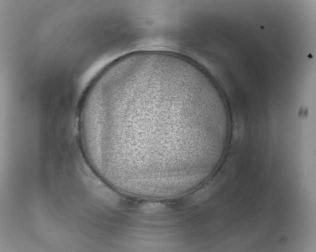 X0000111781462200907301109