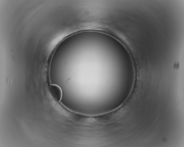 X0000111781463200907301109