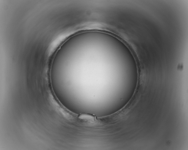 X0000111781464200907301109