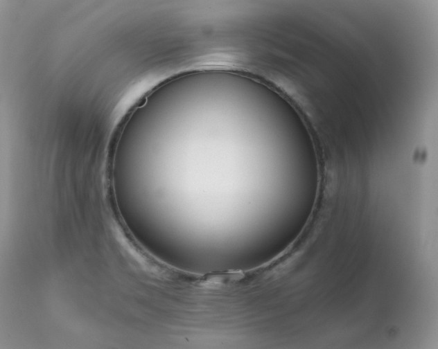 X0000111781469200907301109
