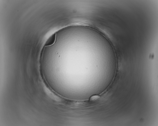 X0000111781471200907301109