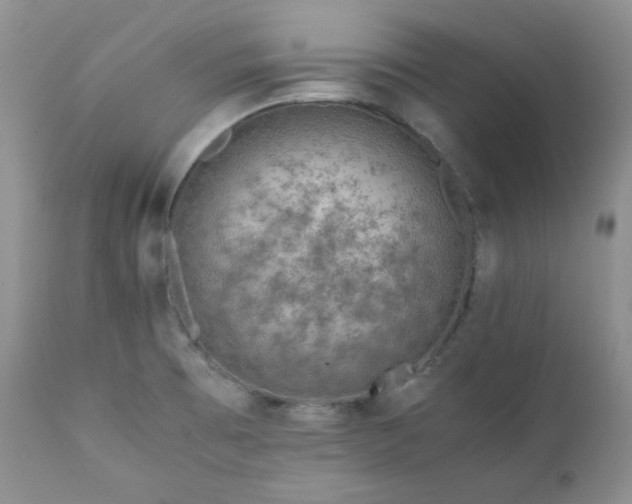 X0000111781473200907301109