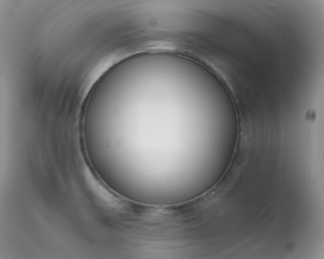 X0000111781475200907301109