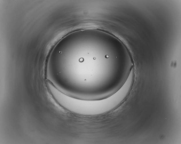 X0000111781477200907301109