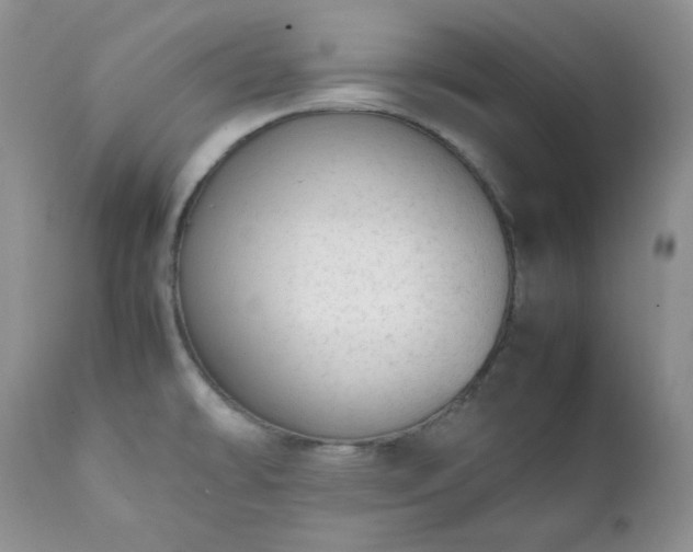 X0000111781478200907301109