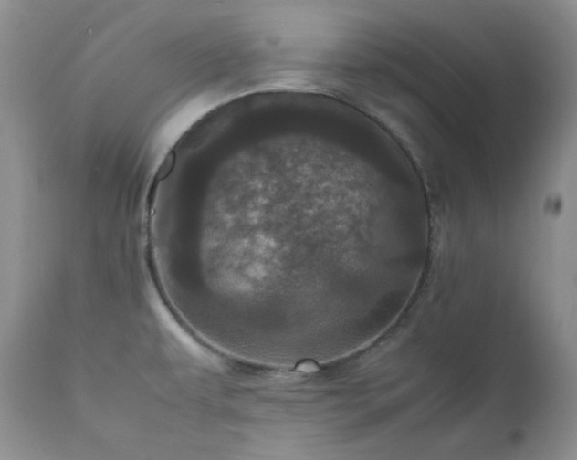 X0000111781479200907301109