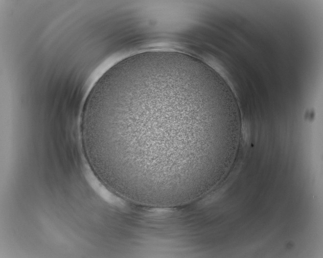 X0000111781482200907301108