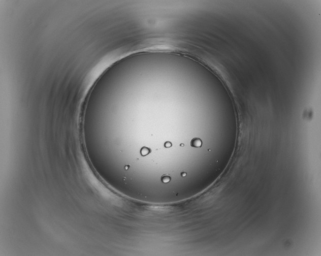 X0000111781483200907301108