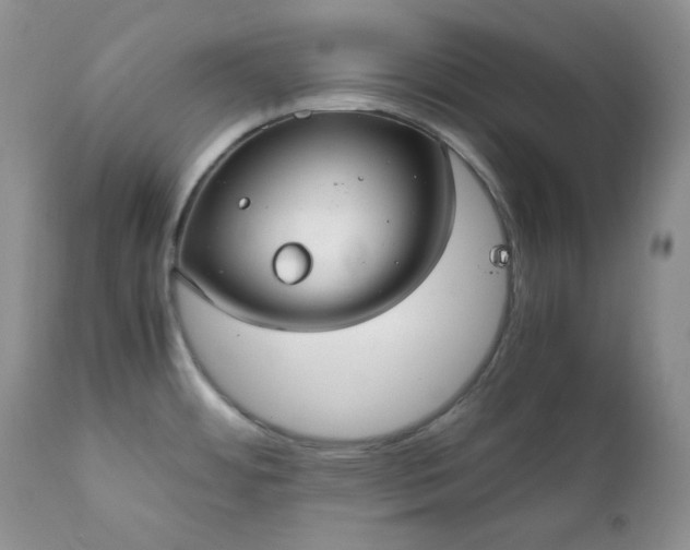 X0000111781484200907301108