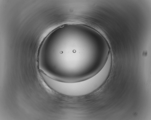 X0000111781485200907301108
