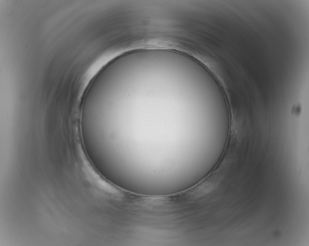 X0000111781486200907301108