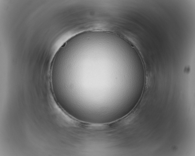 X0000111781487200907301108