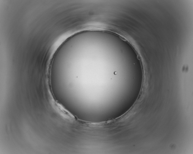 X0000111781488200907301108