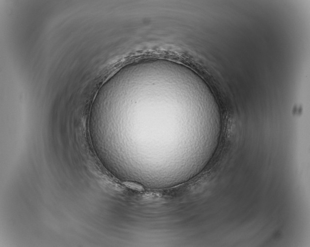 X0000111781489200907301108
