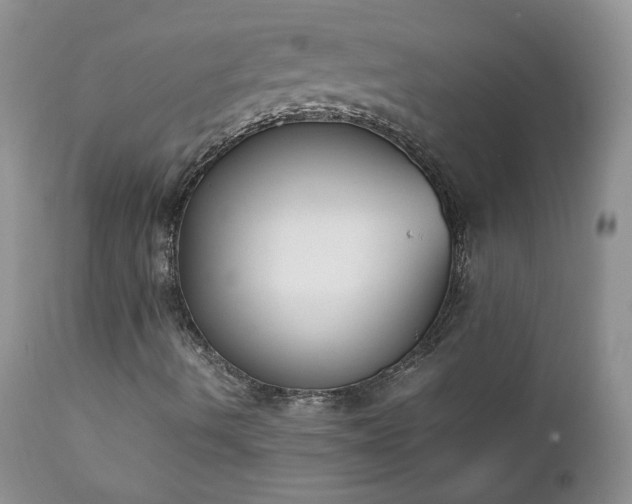 X0000111781490200907301108