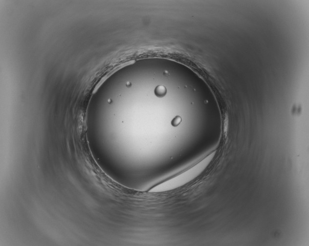 X0000111781492200907301108
