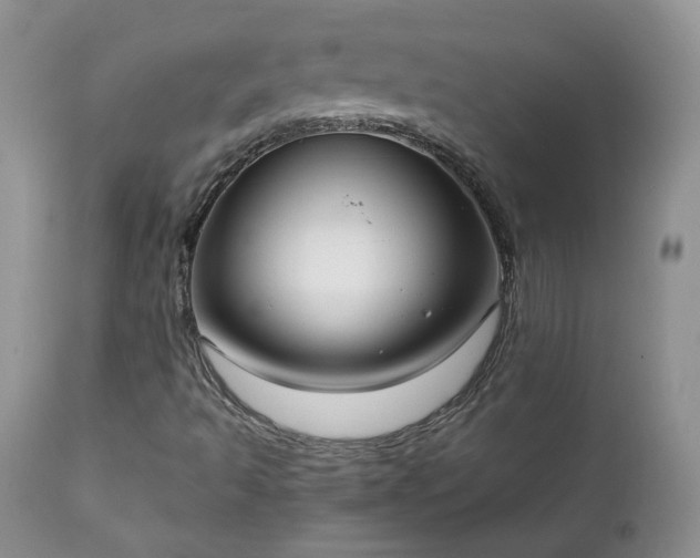 X0000111781493200907301108