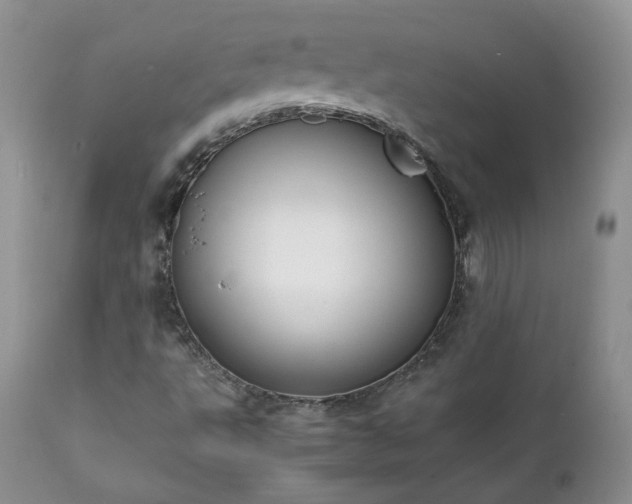 X0000111781495200907301108
