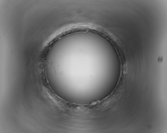 X0000111781496200907301108