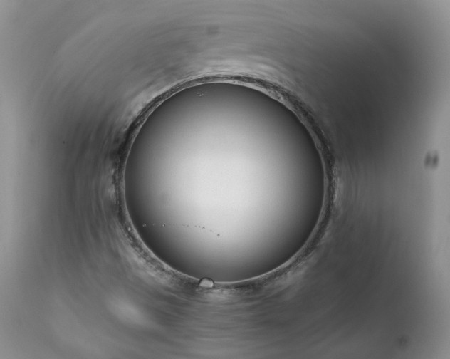 X0000111781497200907301108
