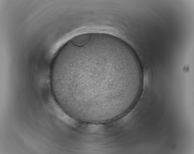 X0000111781498200907301108