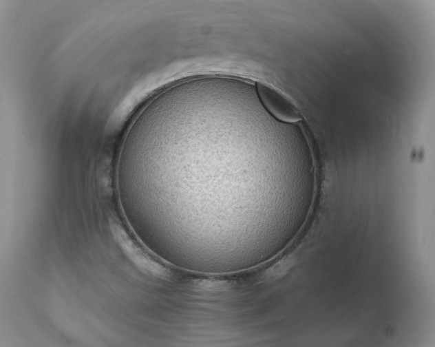 X0000111781499200907301108