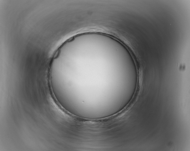 X0000111781500200907301108