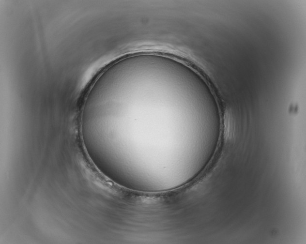 X0000111781501200907301108