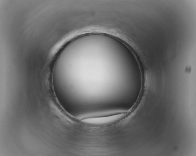 X0000111781502200907301108