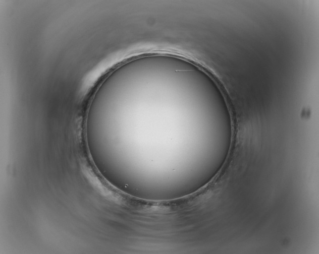 X0000111781503200907301108