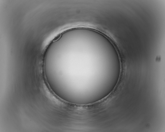 X0000111781504200907301108