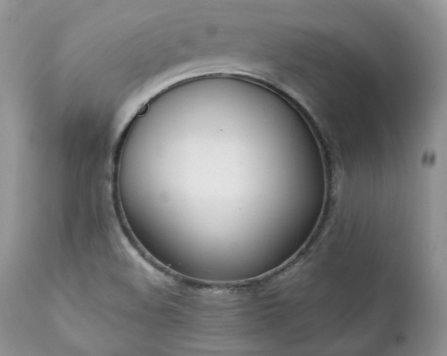 X0000111781508200907301108
