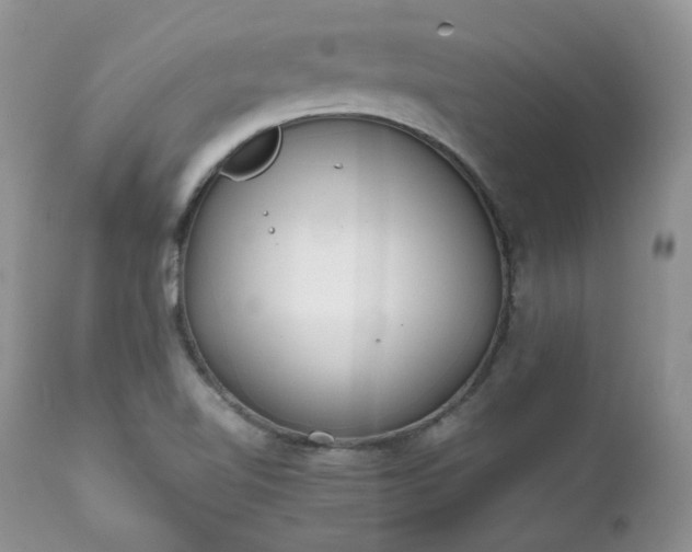 X0000111781510200907301108