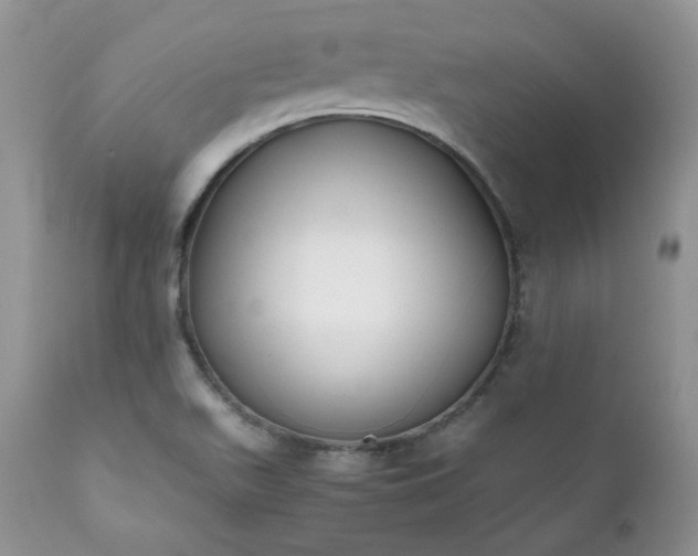 X0000111781511200907301108