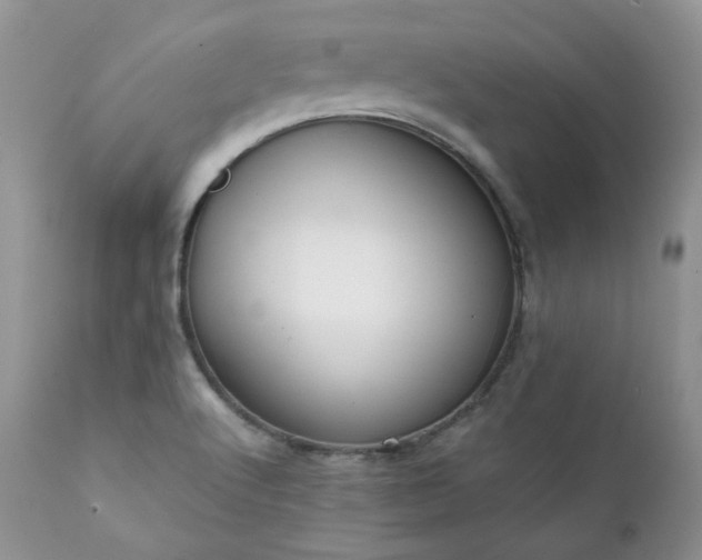 X0000111781512200907301108