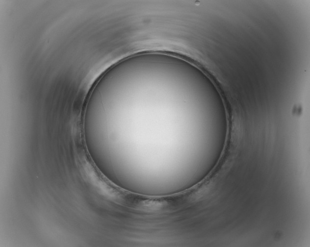 X0000111781513200907301108