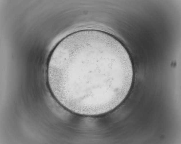 X0000111781514200907301108