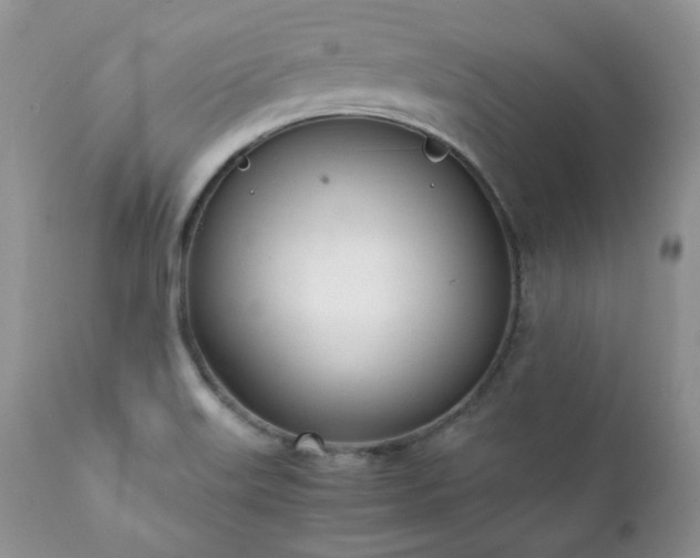 X0000111781515200907301108