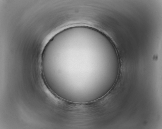 X0000111781516200907301108