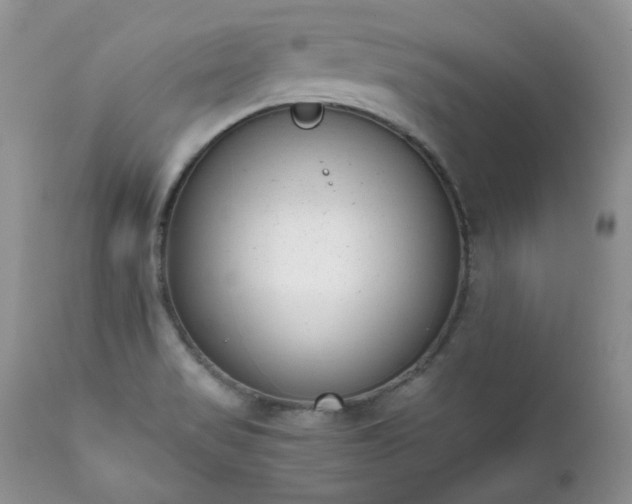 X0000111781517200907301108