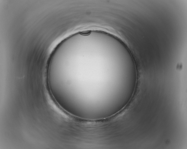 X0000111781518200907301108
